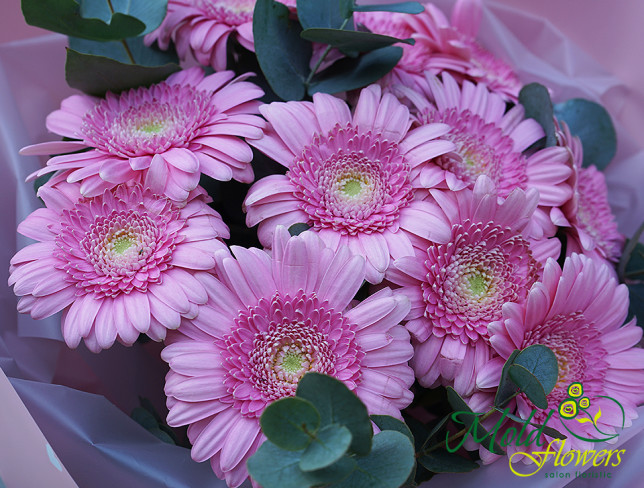 Bouquet of 11 pink gerberas and eucalyptus photo